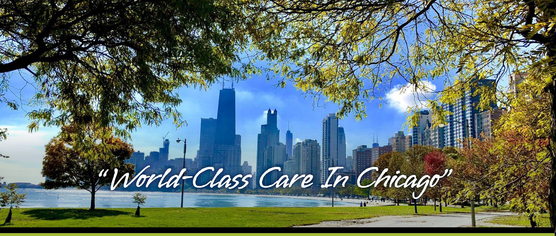 World-Class Care in Chicago