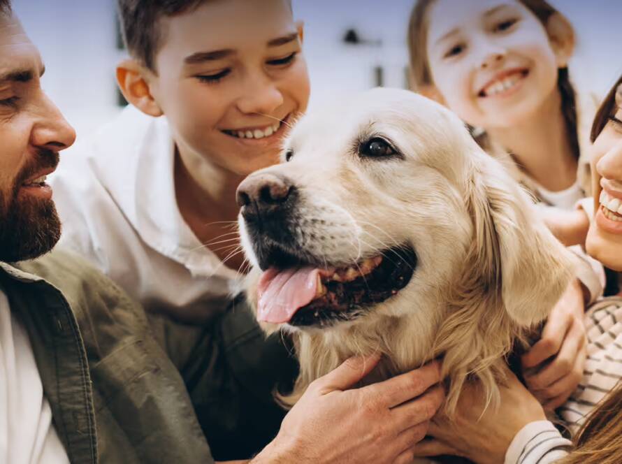 Family gathered around petting their dog